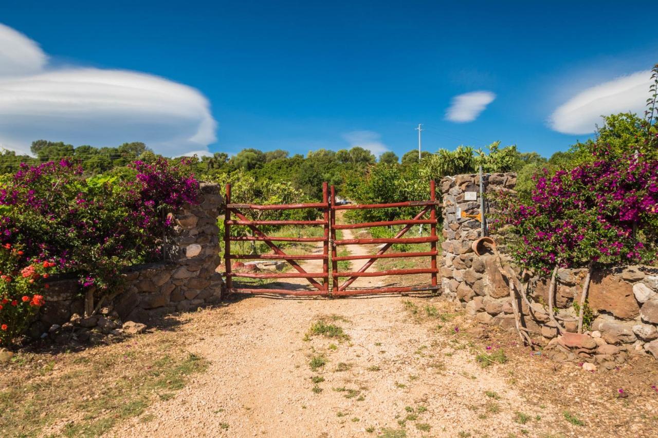 Sa Tanca 'E Pedduzza Villa Orosei Exterior photo